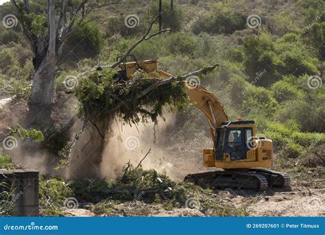 removing trees with excavator